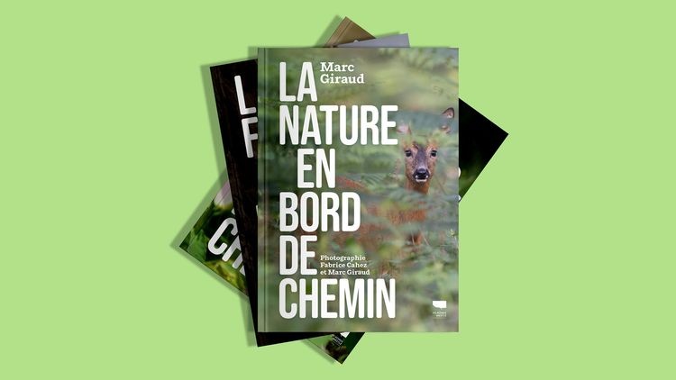 abmstudio-site-au-bord-du-chemin_bis2.jpg