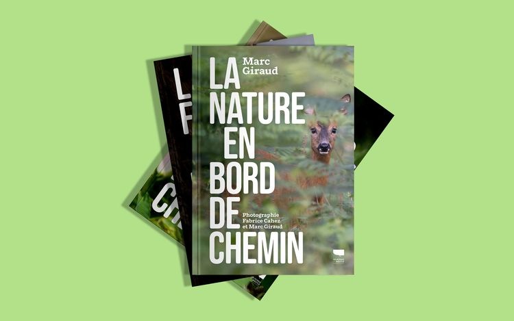 abmstudio-site-au-bord-du-chemin_bis.jpg